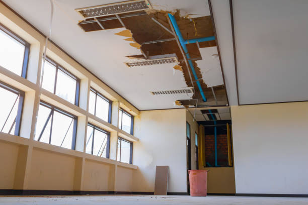 Best Sewage cleanup and water damage restoration  in Kremmling, CO