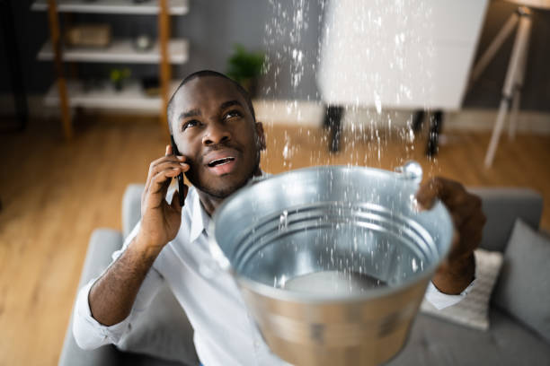 Best Water damage contractors near me  in Kremmling, CO