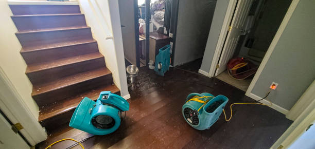Best Water damage cleanup near me  in Kremmling, CO