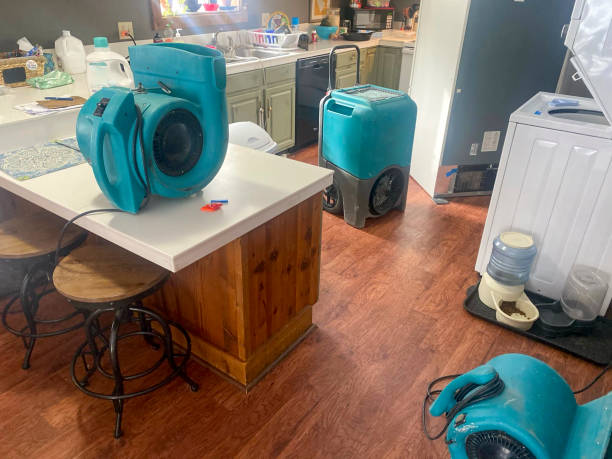 Best Fire Damage Restoration  in Kremmling, CO