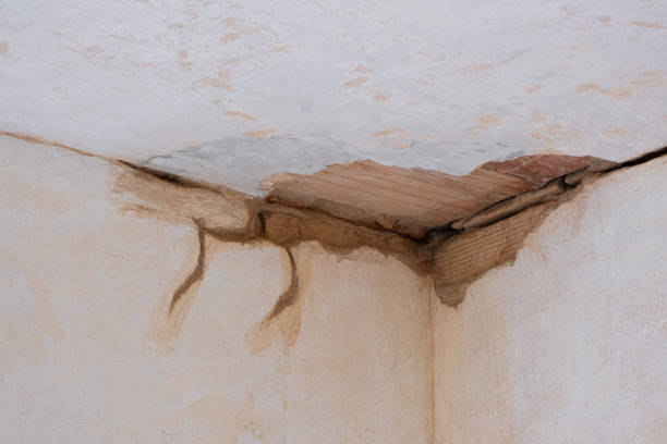 Trusted Kremmling, CO Water damage restoration Experts