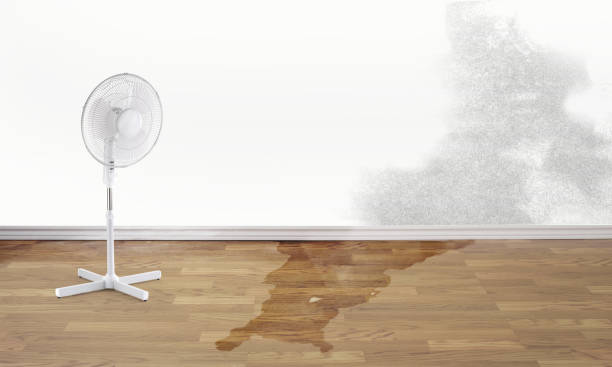 Sewage cleanup and water damage restoration in Kremmling, CO