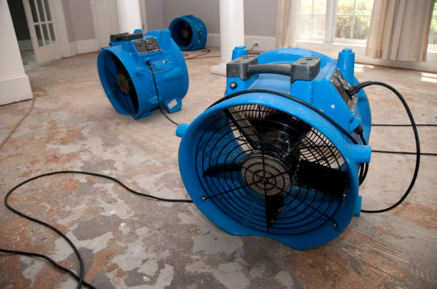 Best Mold removal after water damage  in Kremmling, CO