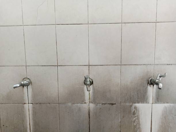 Best Flood restoration services  in Kremmling, CO
