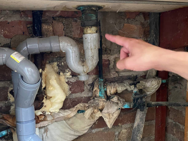Best Carpet water damage restoration  in Kremmling, CO