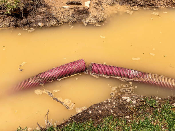 Best Water damage restoration services  in Kremmling, CO