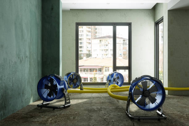 Best Water damage restoration near me  in Kremmling, CO